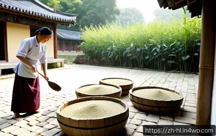 전통 장류 자가 제조와 환경 친화적 접근 - Photorealistic traditional fermented soybean paste making in a sunlit rural courtyard, an adult East...